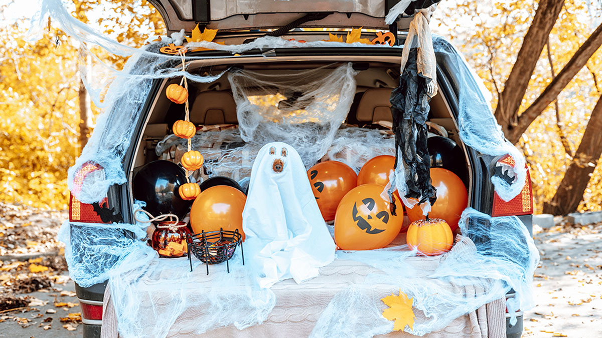 Trunk or Treat at The Sapling School in Grayslake